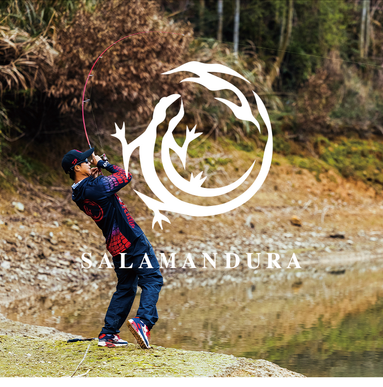 Cần Câu Lure Daiwa Salamandura - Ảnh 3