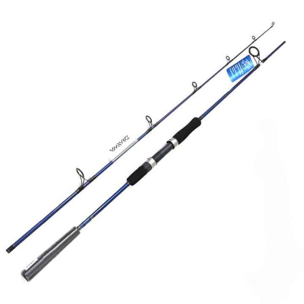 Cần Câu Cá Daiwa D-Blue