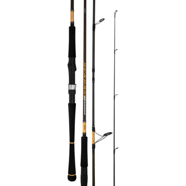 Cần Câu Daiwa 23 Seabass