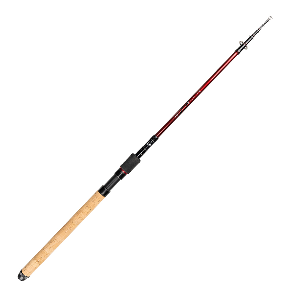 Cần Câu Daiwa Ninja X Tele