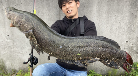 Câu Lure Là Gì? Tại Sao Bộ Môn Này Lại Hấp Dẫn Đến Thế?