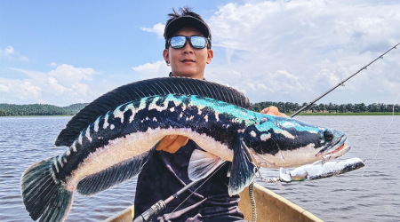 Cách Chọn Cần Câu Lure Phù Hợp: Độ Cứng, Action, Loại Cá Và Địa Hình