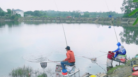 Bí Quyết Chọn Cần Câu Tay Cho Người Mới