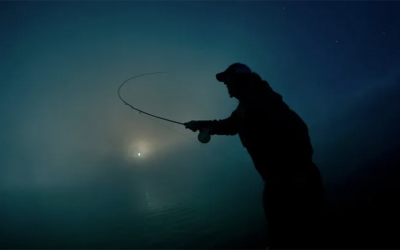 Bí Quyết Câu Lure Ban Đêm Hiệu Quả Nhất