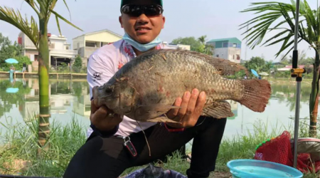 3 Công Thức Làm Mồi Câu Rô Phi Đỉnh Cao Từ Đài Sư