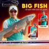 Can cau V5 Plus 6H Big Fish 1